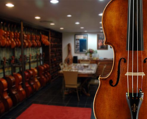 lienviolins019