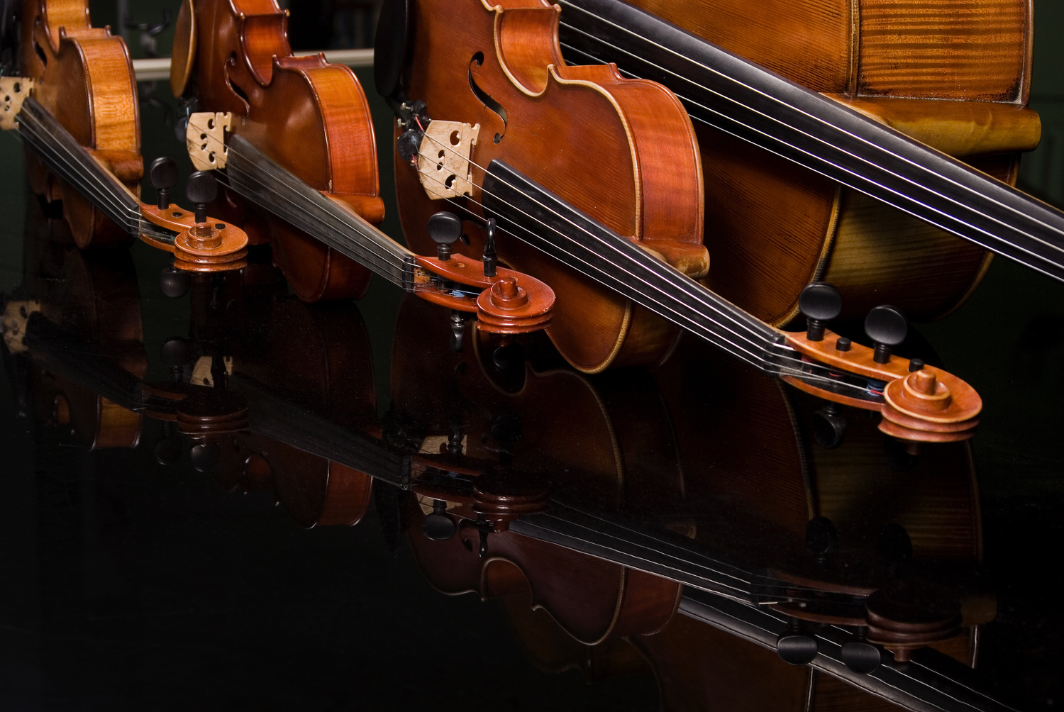 Two Violins, Viola and Cello LienViolins