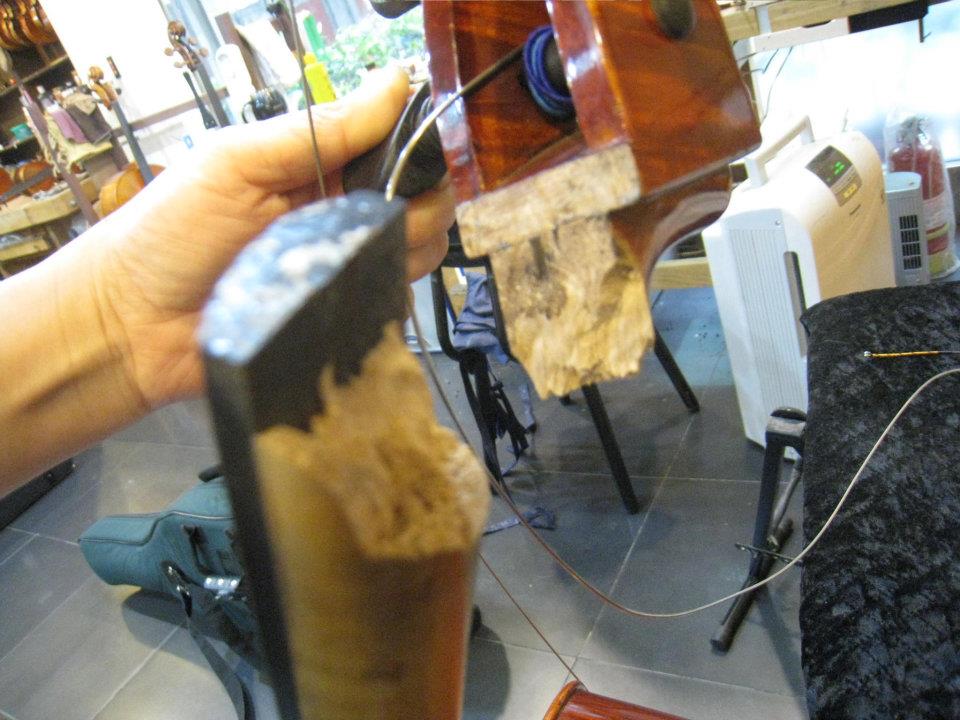 309767_222628394476081_720199354_n