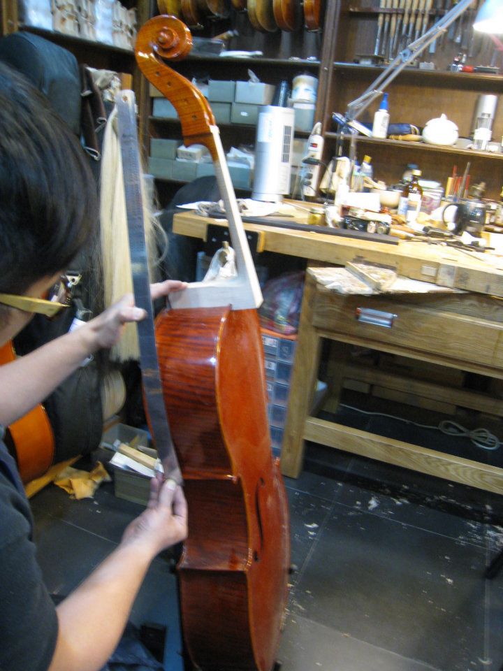 389076_222628437809410_715949905_n