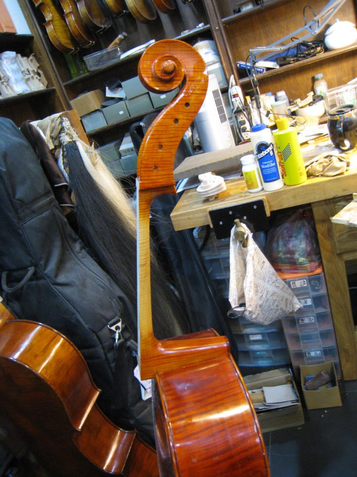 384081_222628624476058_621267746_n